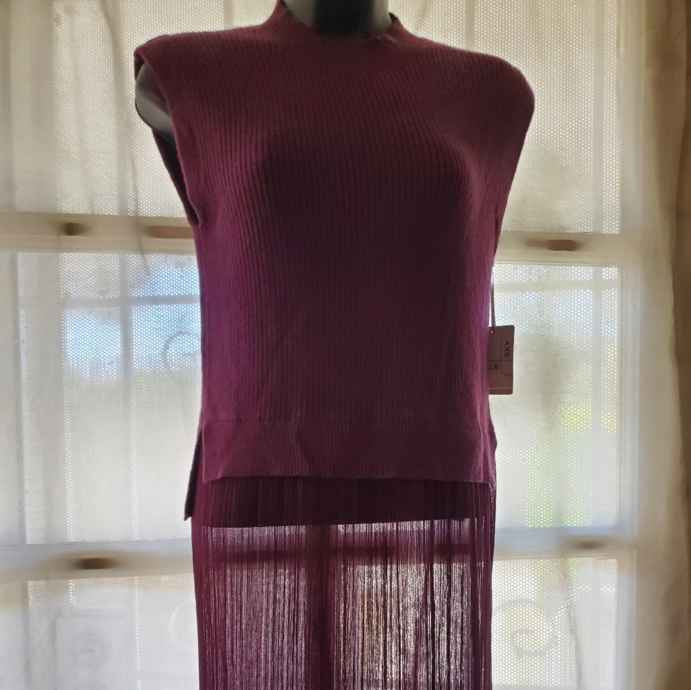 Plum SweaterBlock Maxi Dress